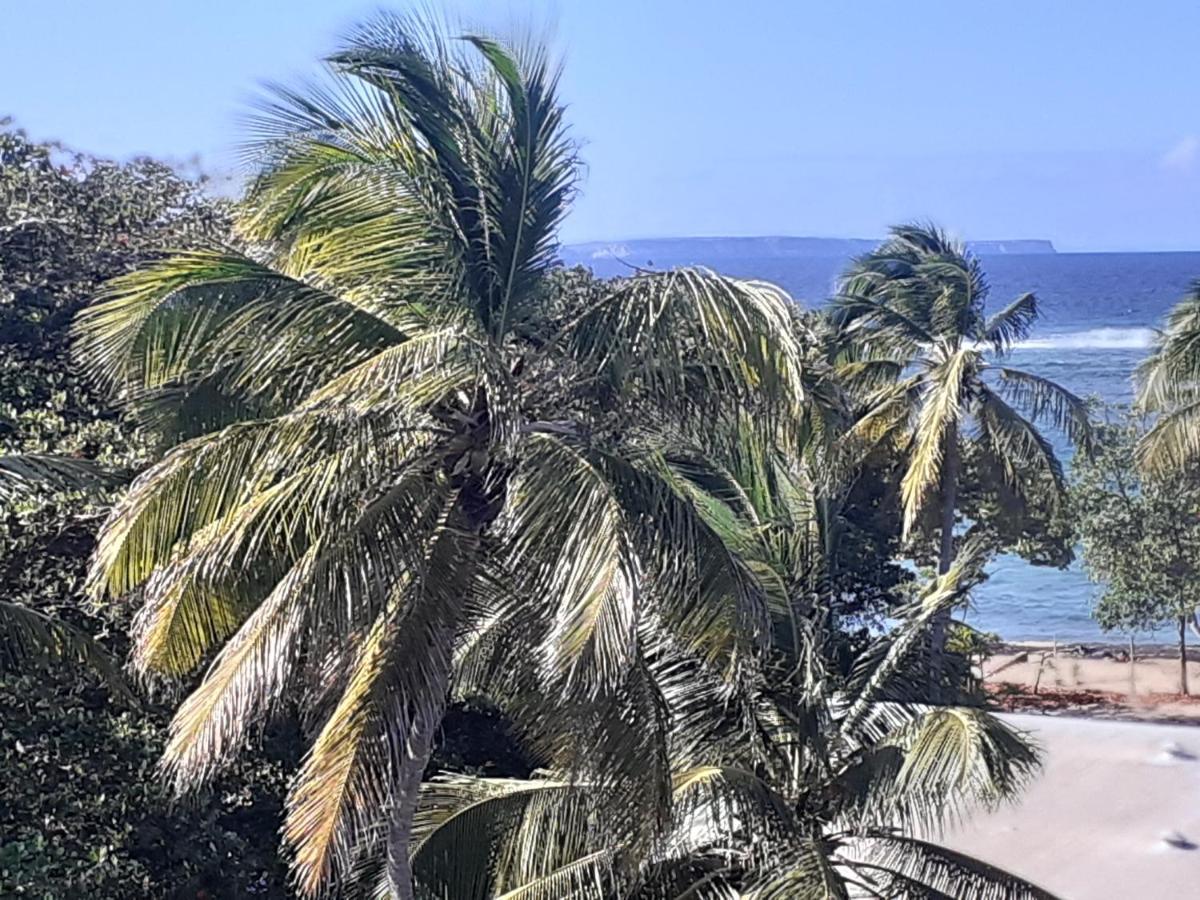 Studio Vue Sur Mer Льо Мул Екстериор снимка