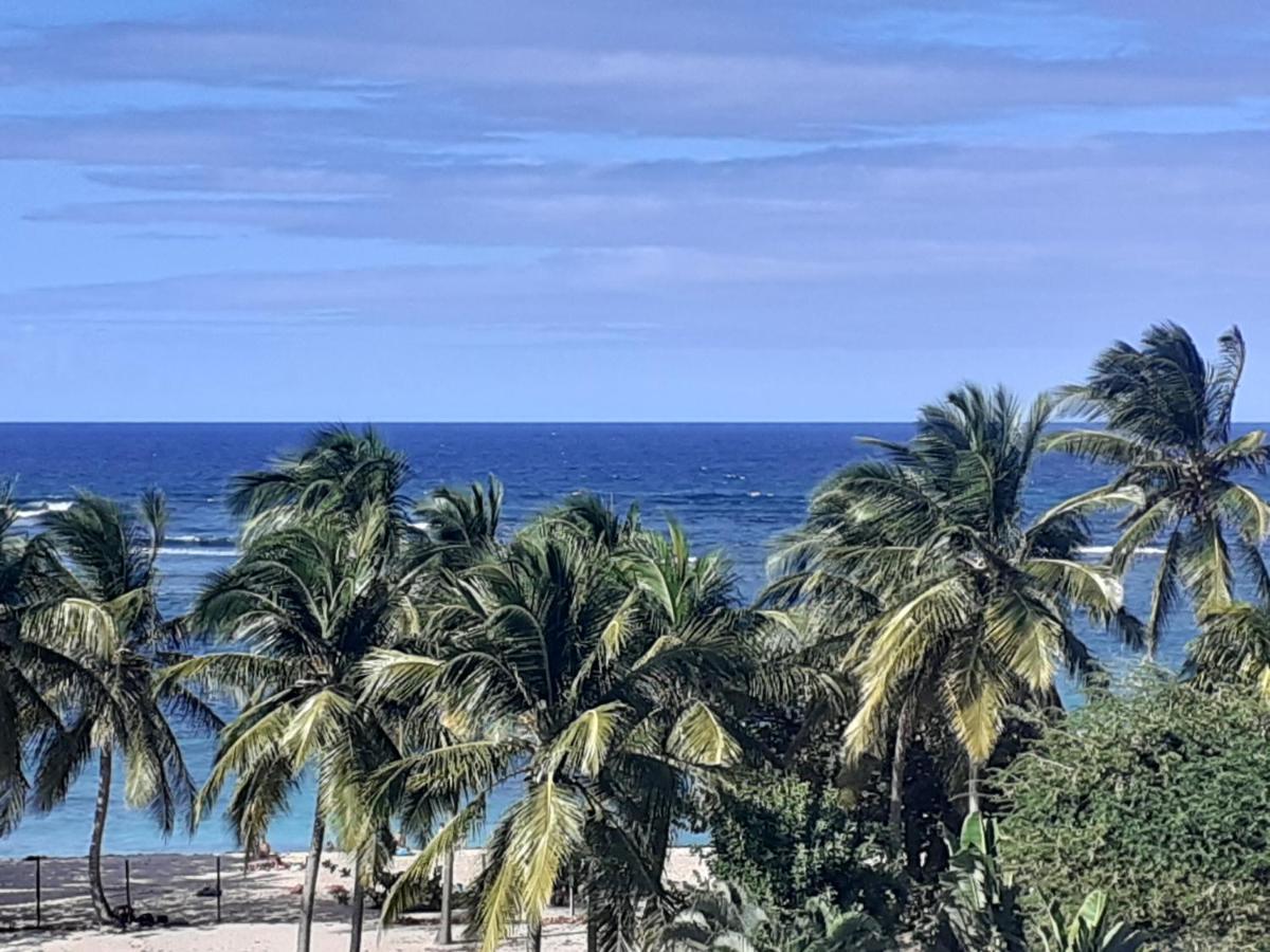 Studio Vue Sur Mer Льо Мул Екстериор снимка